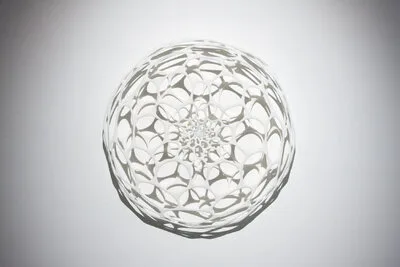 20131017 Alex Fischer Dry Pixels and Wet Molecules O'Born Contemporary 26 Nervous System Preserver documentation.jpg